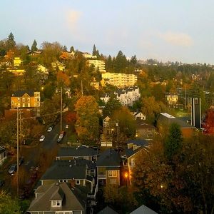 Meet your Posher, Maggie